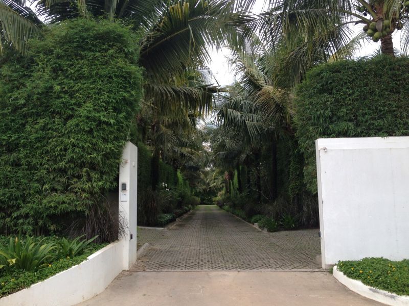 Privacy Shrub Planting in Ventura County, CA